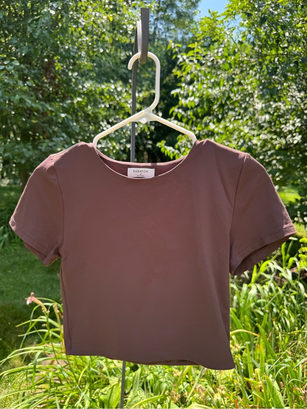 Aritzia Babaton Brown Cropped Crewneck Tee